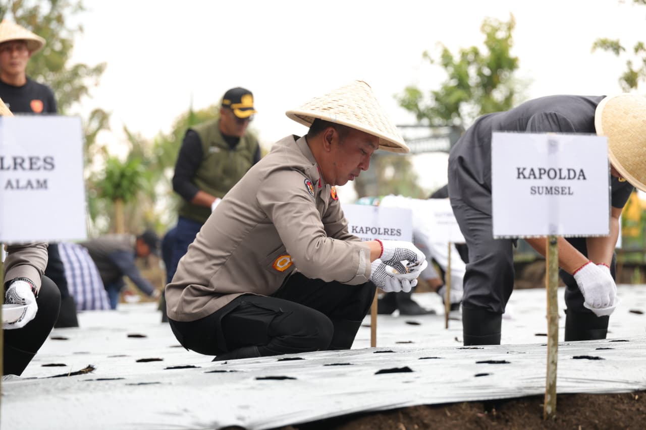 Dukung Ketahanan Pangan Nasional, Kapolda Sumsel dan Wali Kota Pagar Alam Gelar Tanam Perdana Bawang Putih