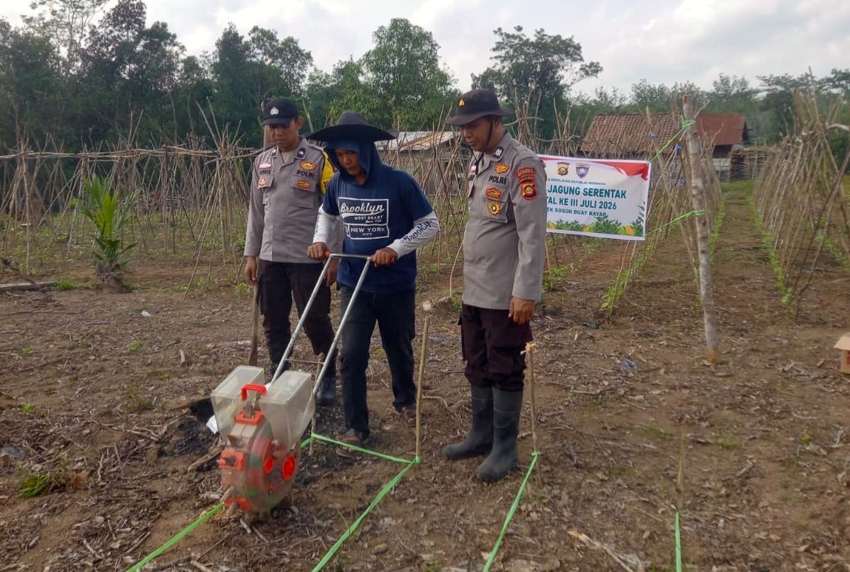 Polri Dukung Swasembada Pangan, Tanam Jagung Kuartal III Digelar di Sosoh Buay Rayap