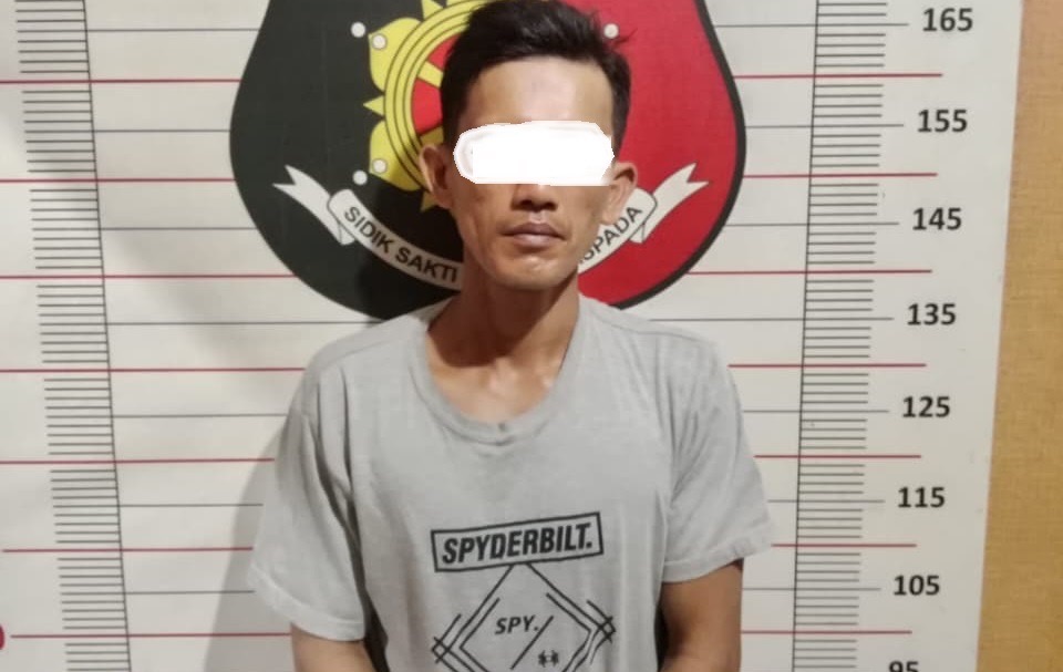 Polsek Lubuk Batang Ungkap Kasus Pencurian Buah Sawit, Satu Tersangka Diamankan