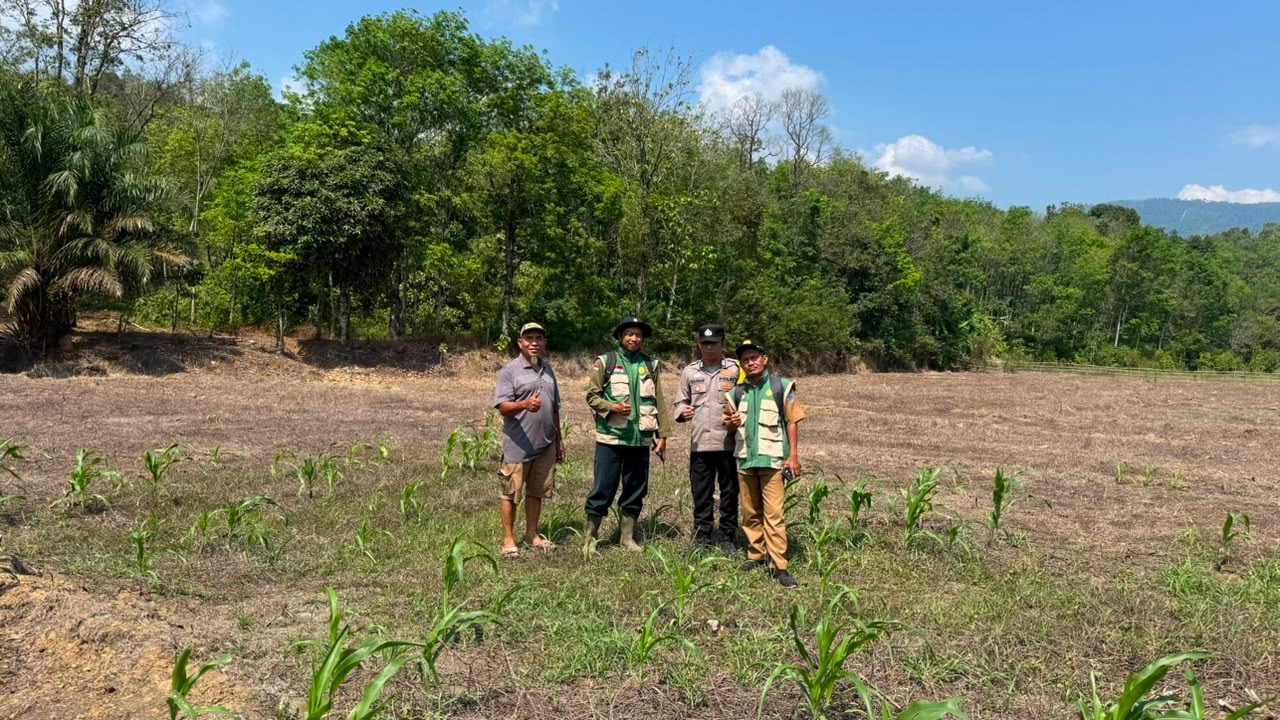 Polsek Merapi Barat Laksanakan Penanaman Jagung di Desa Lubuk Betung, Dukung Program Ketahanan Pangan Nasional