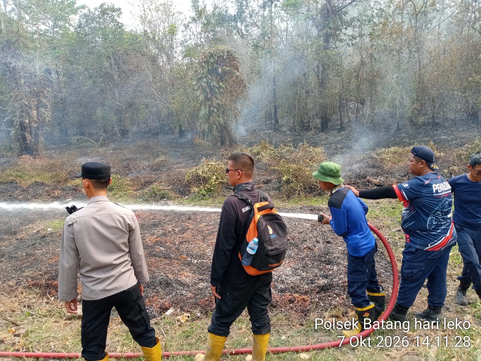 Gerak Cepat Polsek Batanghari Leko Bersama Damkar dan PT MBI Padamkan Karhutla di Tanah Abang