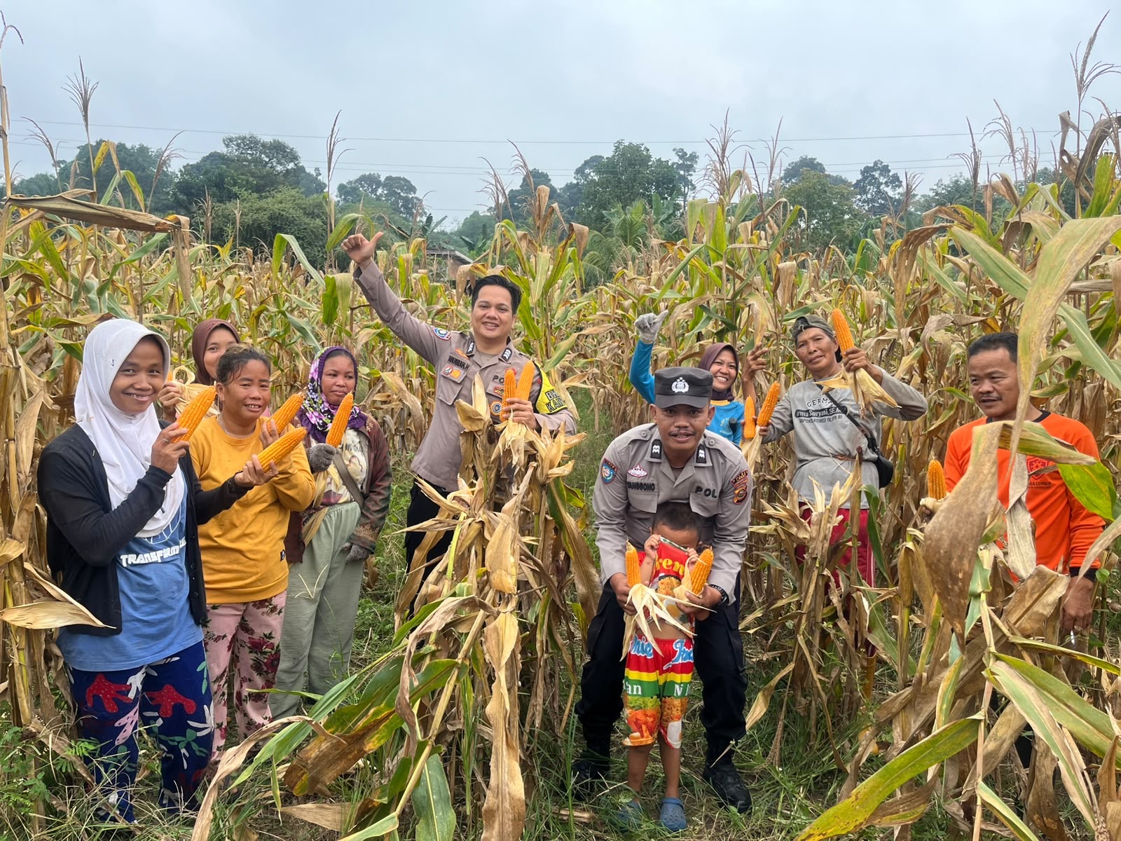 Polsek Kikim Timur Hadiri Panen Jagung Serentak Kuartal III, Perkuat Dukungan Swasembada Pangan Nasional
