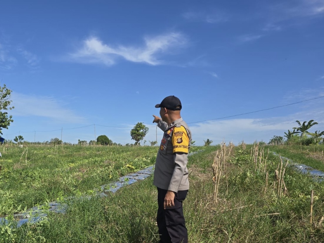 **Polres Ogan Ilir Melalui Polsek Indralaya Laksanakan Monitoring Lahan Pekarangan Pangan Bergizi di Desa Tanjung Pering**