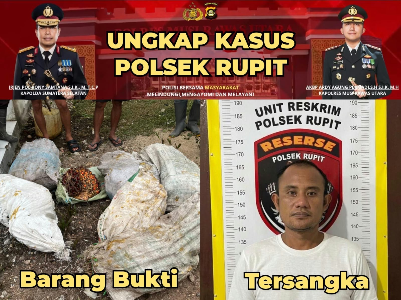 Polsek Rupit Ungkap Dugaan Pencurian 180 Kg Sawit di Kebun PT Dendymarker, Satu Pria Diamankan