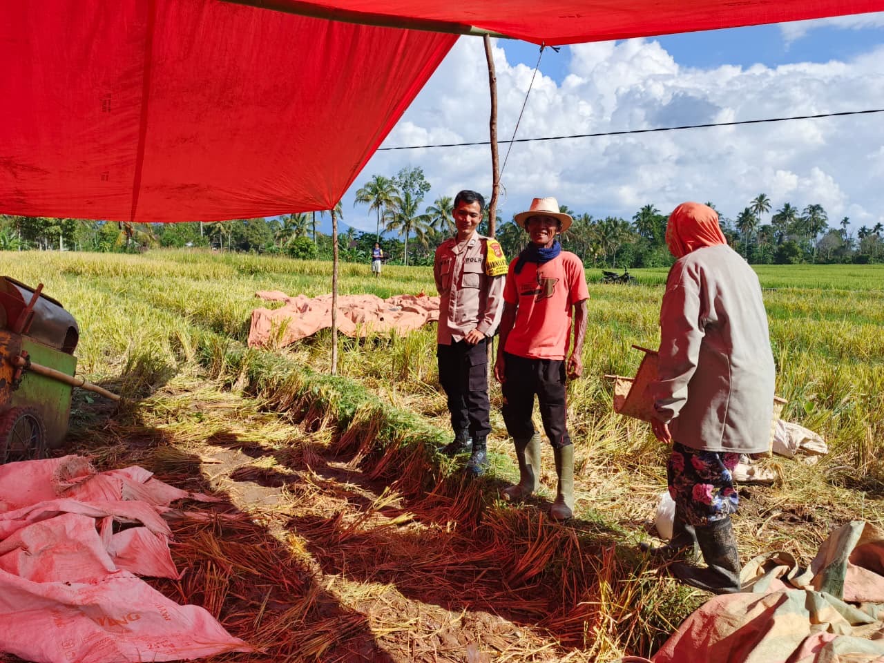 Polisi Pantau Lahan Jagung Warga di Dempo Tengah, Dukung Ketahanan Pangan