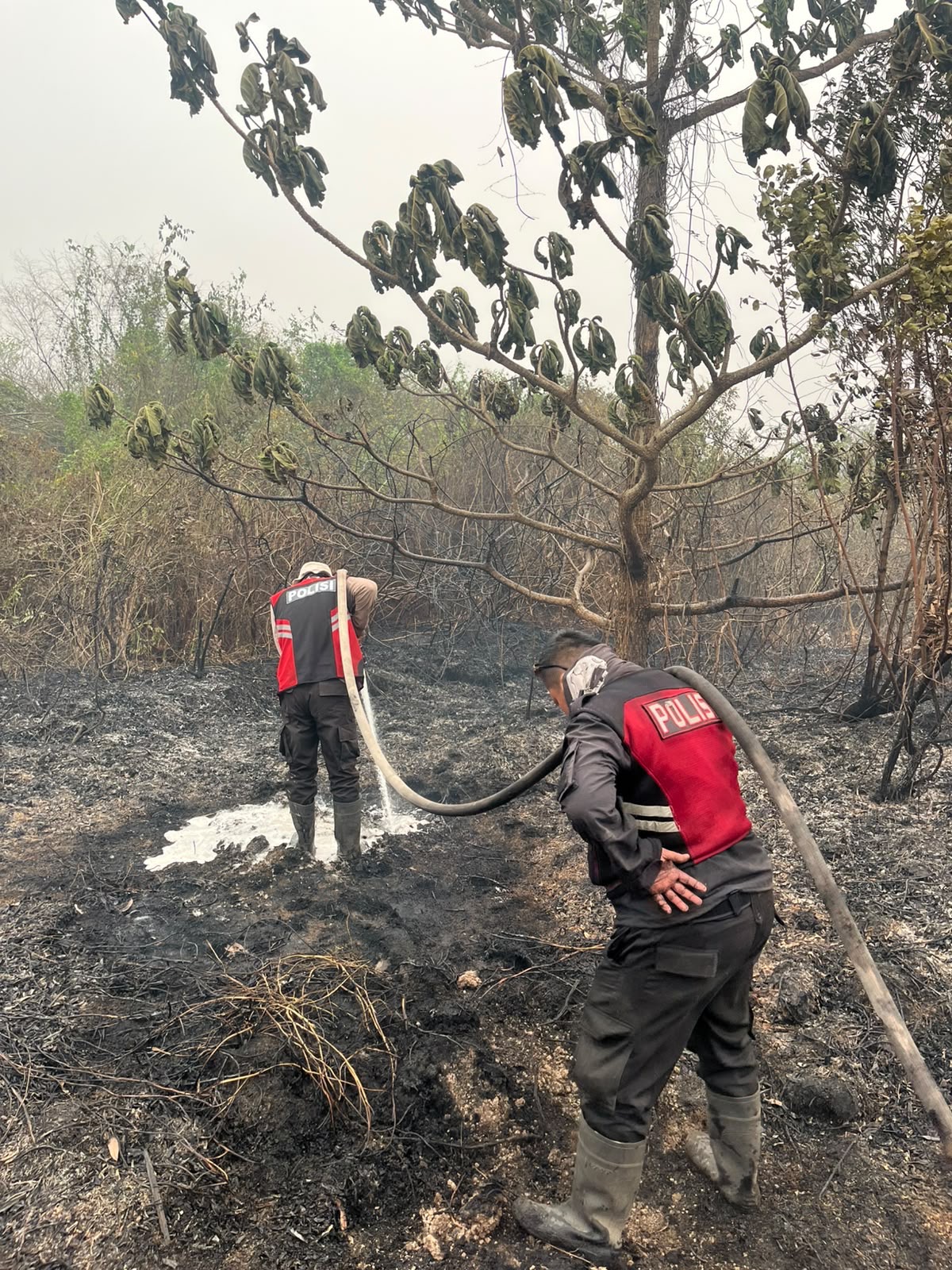 Polres OKI Padamkan Titik Api di Tol KM 341, Gunakan Cairan X-Fire