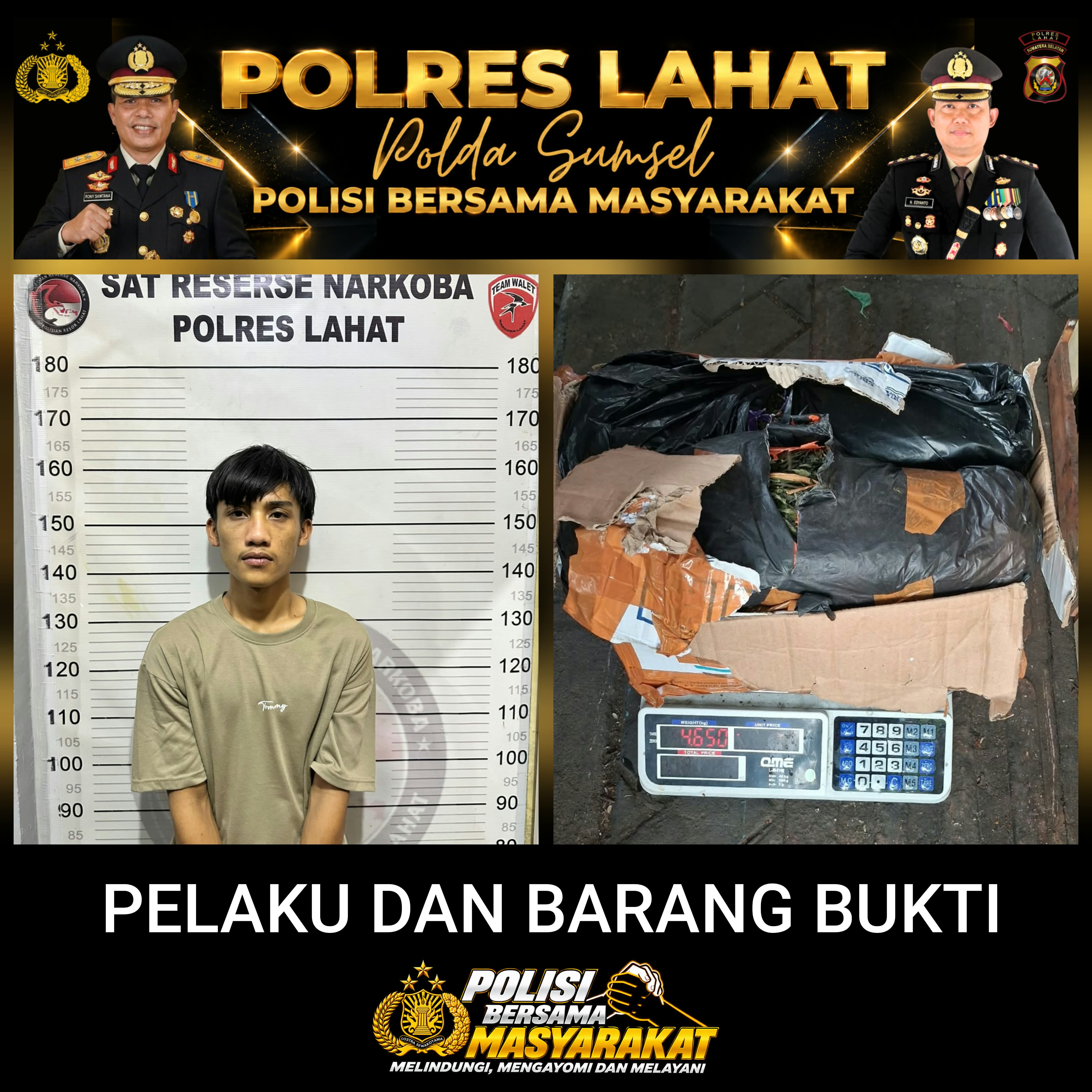 Satresnarkoba Polres Lahat Ungkap Kasus Dugaan Peredaran Ganja, Sita Barang Bukti 4,65 Kilogram