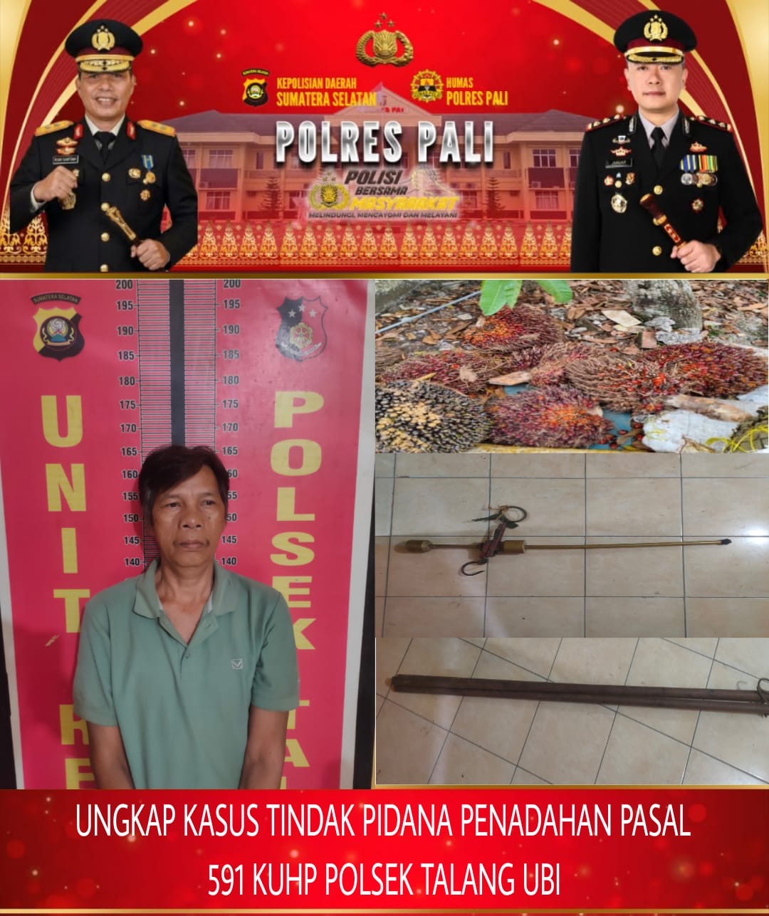 Polsek Talang Ubi Ungkap Dugaan Penadahan Sawit di PALI, Pria 48 Tahun Diamankan