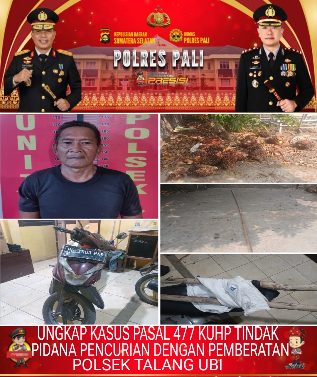 Polsek Talang Ubi Amankan Terduga Pelaku Pencurian 15 Tandan Sawit Milik PT Suryabumi Agrolanggeng