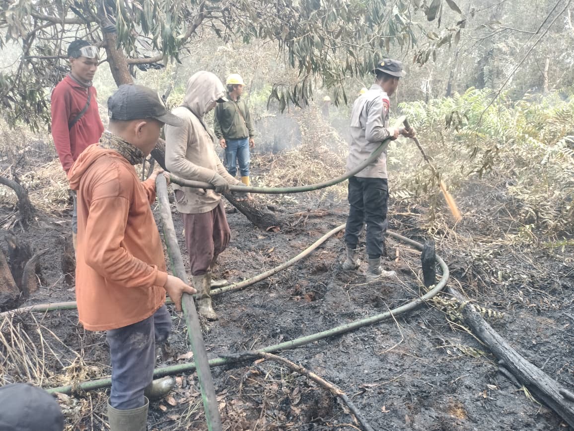 Cegah Karhutla Meluas, Polsek Sungai Rotan Bersama Brimob dan Damkar PT R6B Padamkan Titik Api di Suka Merindu