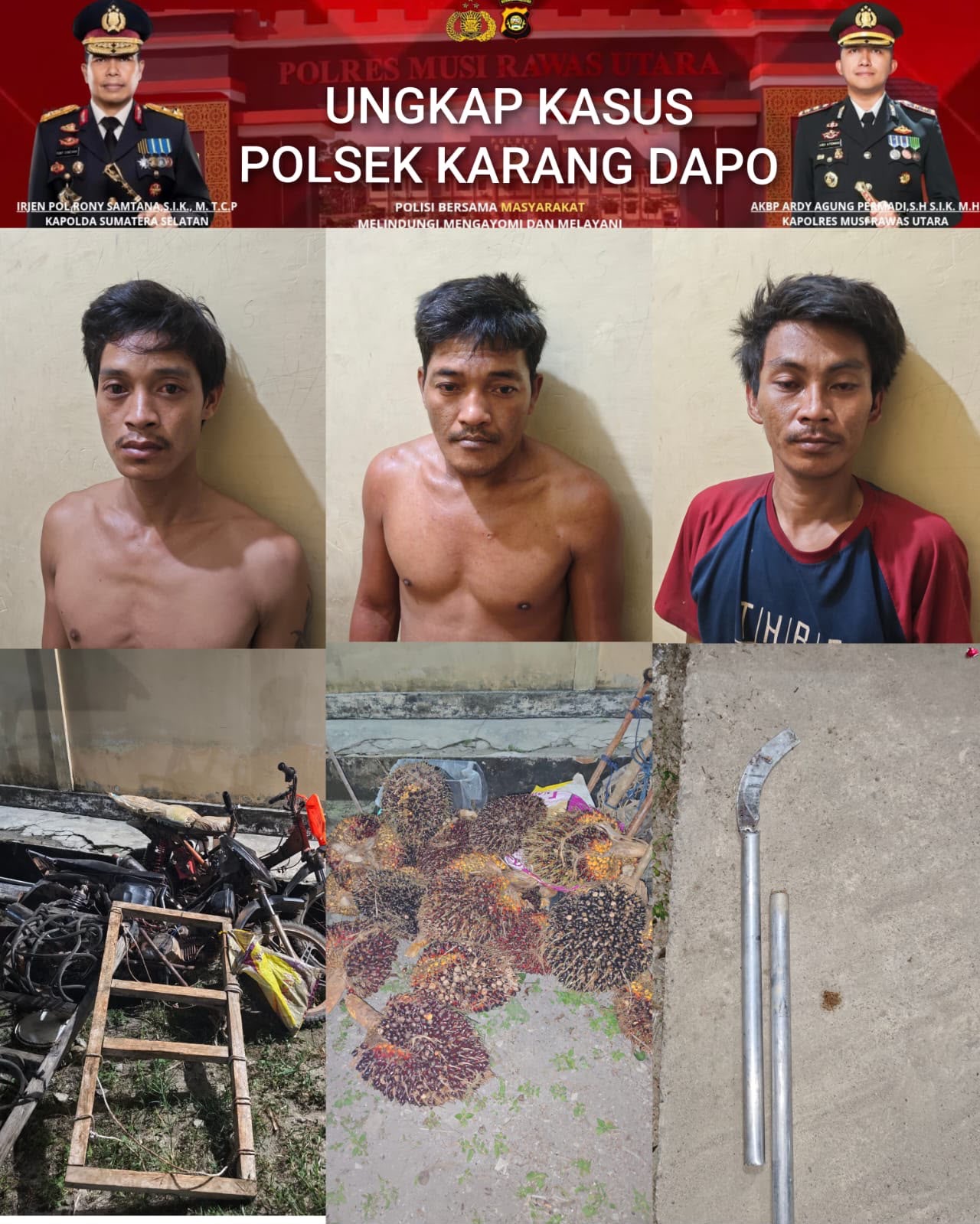 Polsek Karang Dapo Ungkap Pencurian Sawit di Musi Rawas Utara, Tiga Pria Diamankan Bersama 11 Janjang Buah Sawit