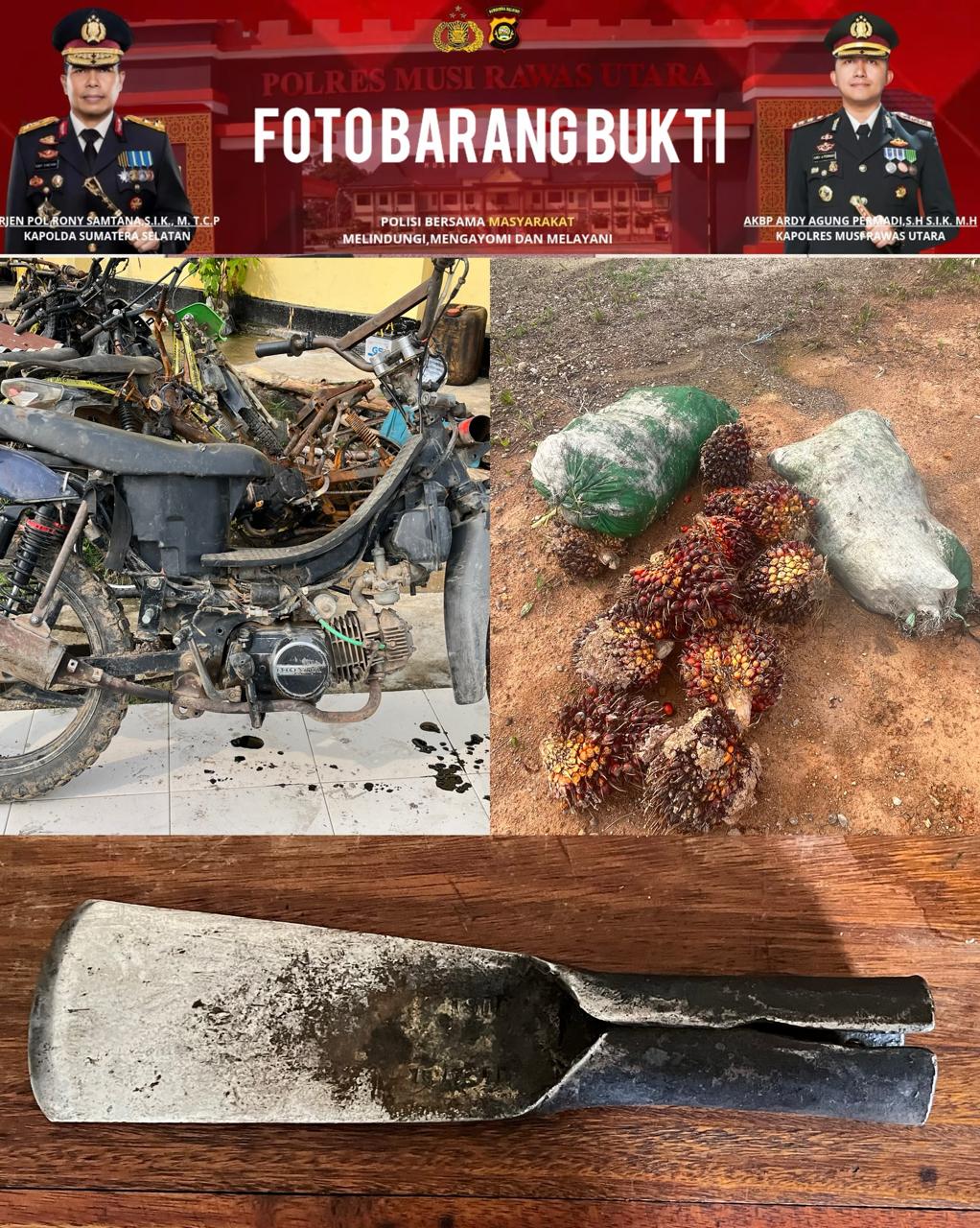 Polsek Rawas Ilir Ungkap Kasus Pencurian Sawit di Ketapat Bening, 37 Janjang Diamankan sebagai Barang Bukti