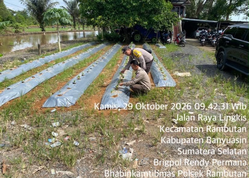 Dukung Ketahanan Pangan Nasional, Bhabinkamtibmas Polsek Rambutan Brigpol Rendy Permana, Ajak Warga Desa Durian Gadis Kec. Rambutan Kembangkan Pekarangan Produktif