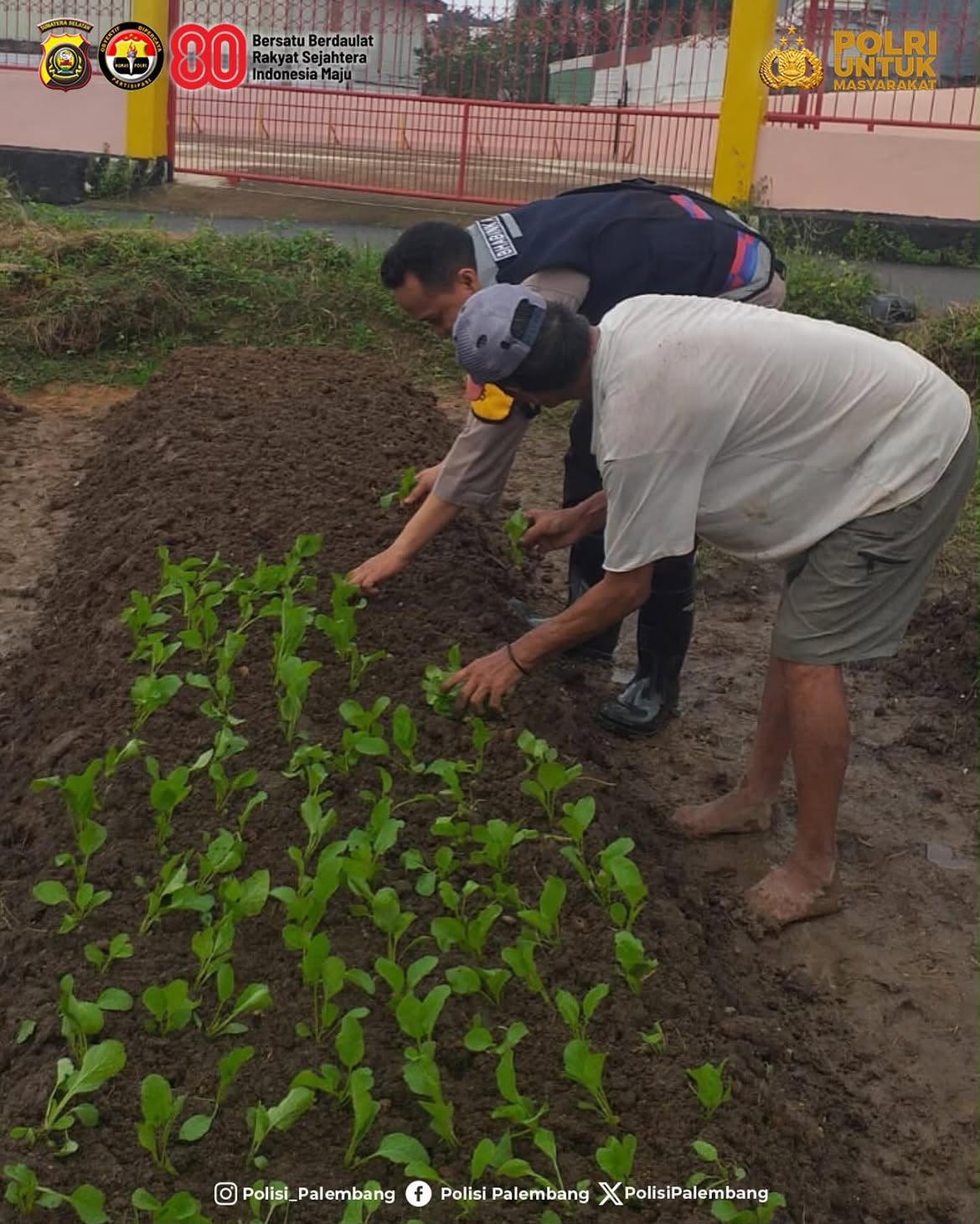 Polrestabes Palembang Dorong Warga Produktif melalui Pemanfaatan Lahan Pertanian