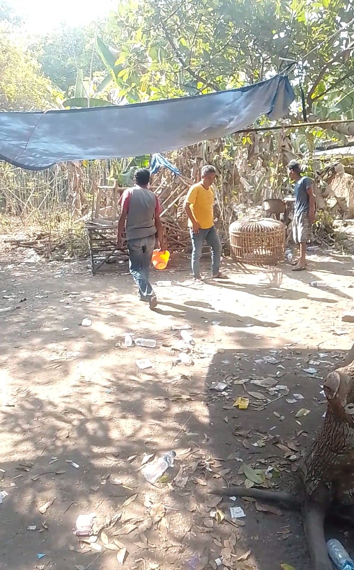 Polisi Tindak Lanjuti Laporan Dugaan Judi Sabung Ayam di Kelampaian Ogan Ilir