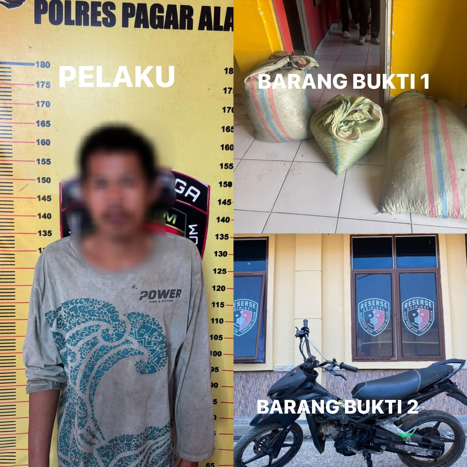 Polisi Ingatkan Hasil Kebun Bukan Sasaran Empuk, Polres Pagar Alam Ajak Petani Tingkatkan Pengawasan