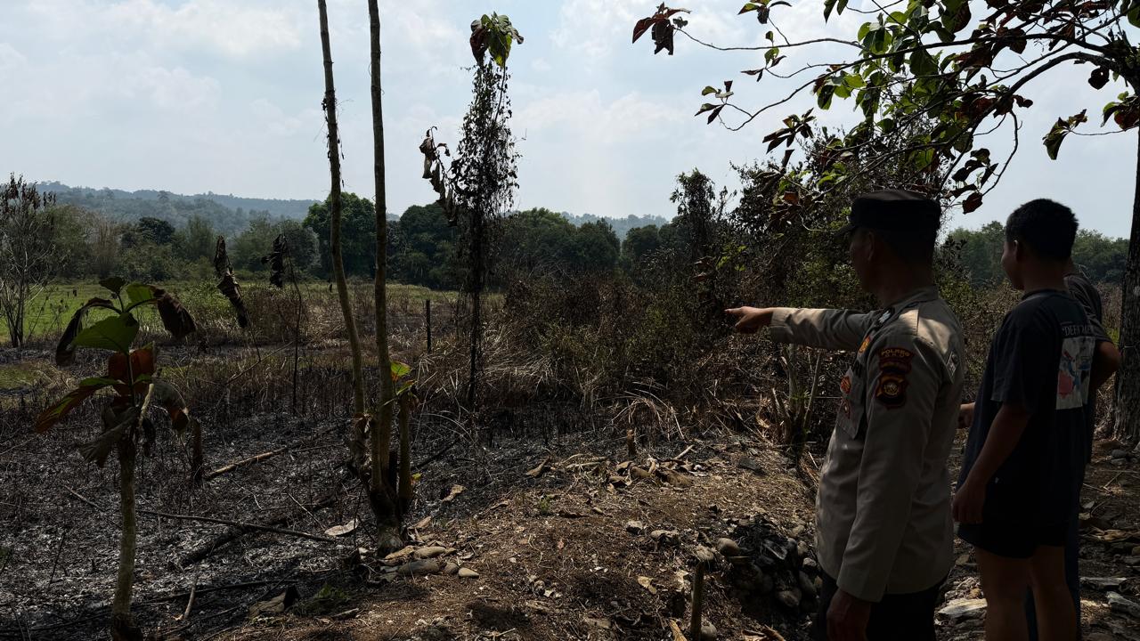 Pantauan Titik Hotspot Karhutlah Polsek Pengandonan  Polres OKU