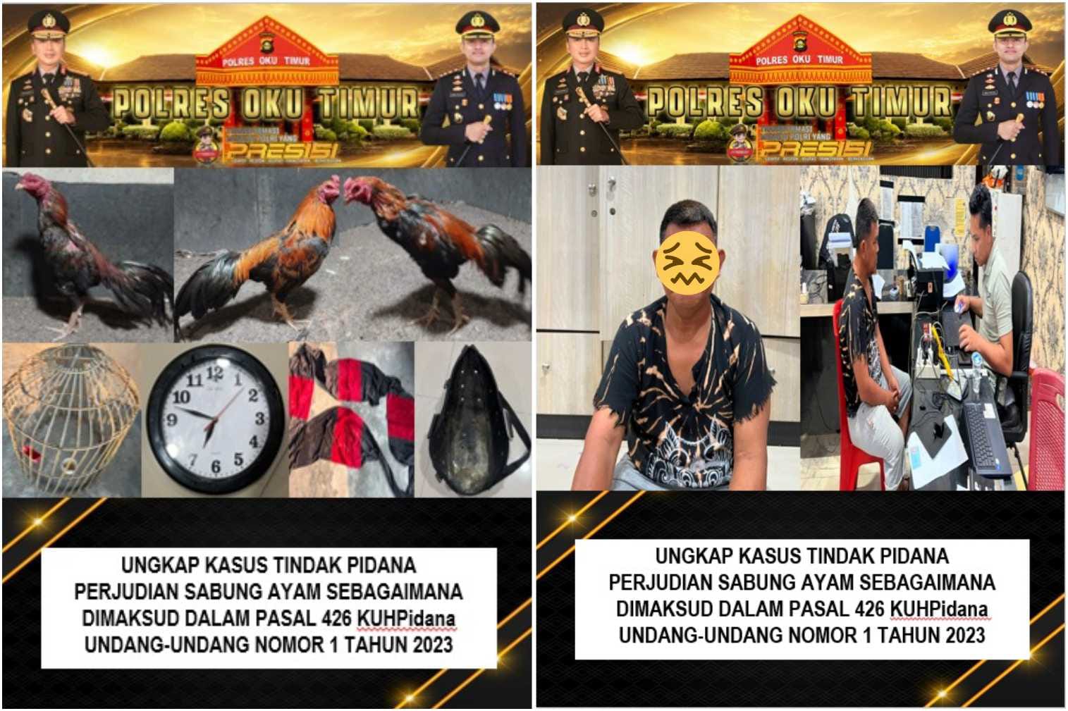 Sabung Ayam di Kotanegara Dibubarkan Polisi, Seorang Pria Diamankan