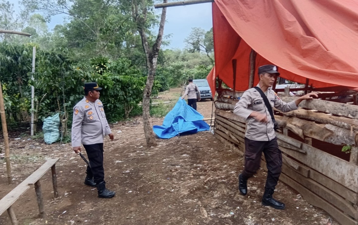 Polsek Pajar Bulan Tertibkan Arena Sabung Ayam, Cegah Perjudian di Desa Pajar Tinggi