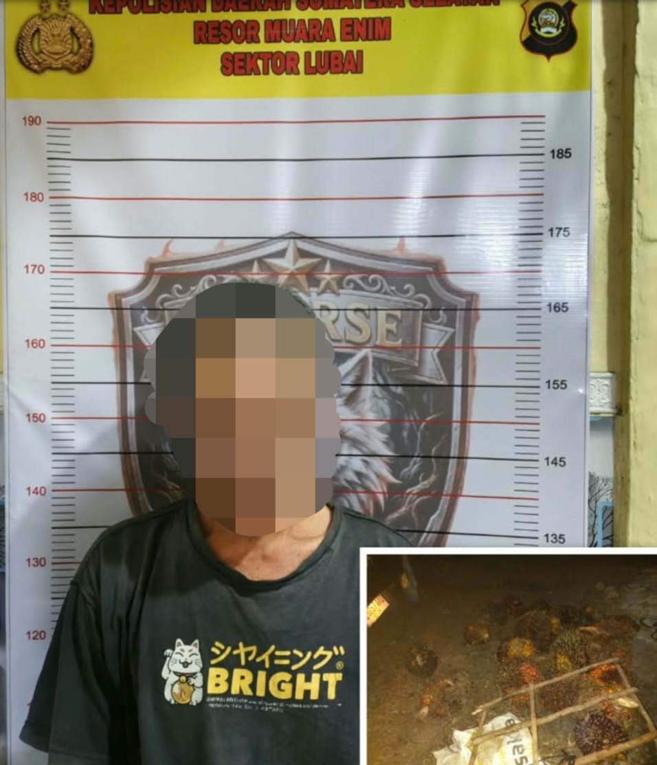 Polsek Lubai Berhasil Ungkap Kasus Pencurian Buah Sawit, Satu Pelaku Diamankan dan Satu Masih DPO